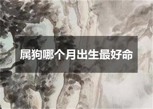 属狗哪个月出生最好命