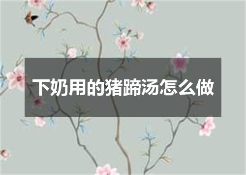 下奶用的猪蹄汤怎么做