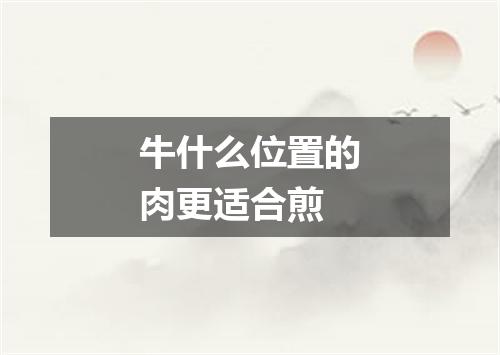 牛什么位置的肉更适合煎