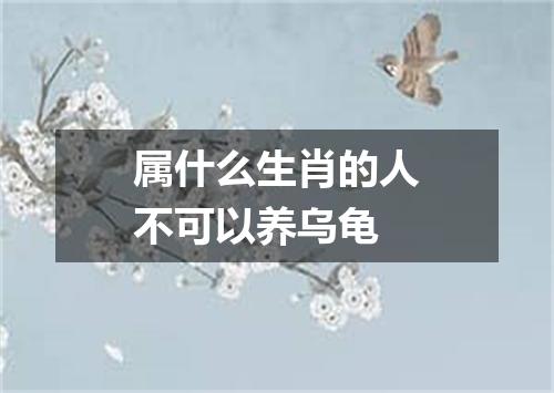 属什么生肖的人不可以养乌龟