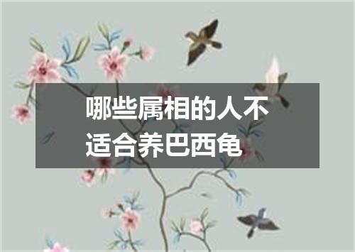 哪些属相的人不适合养巴西龟