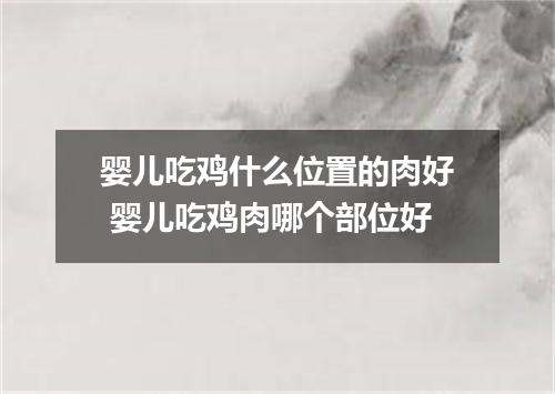 婴儿吃鸡什么位置的肉好 婴儿吃鸡肉哪个部位好
