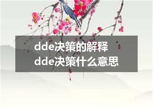 dde决策的解释 dde决策什么意思