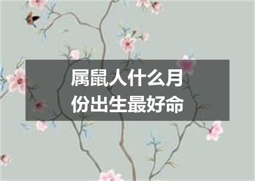 属鼠人什么月份出生最好命