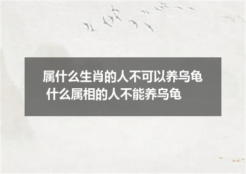 属什么生肖的人不可以养乌龟 什么属相的人不能养乌龟