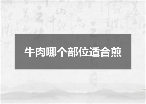 牛肉哪个部位适合煎