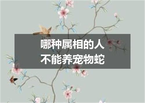 哪种属相的人不能养宠物蛇