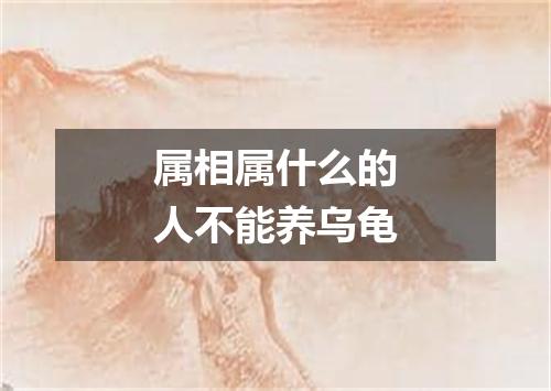 属相属什么的人不能养乌龟