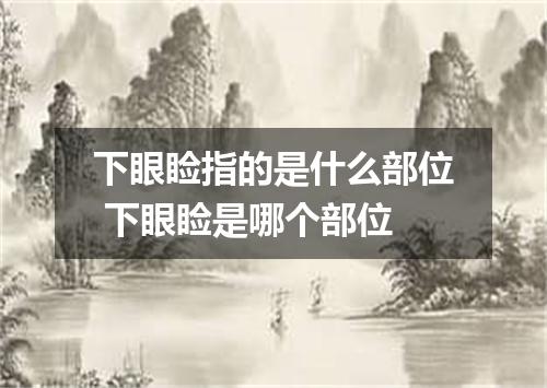 下眼睑指的是什么部位 下眼睑是哪个部位