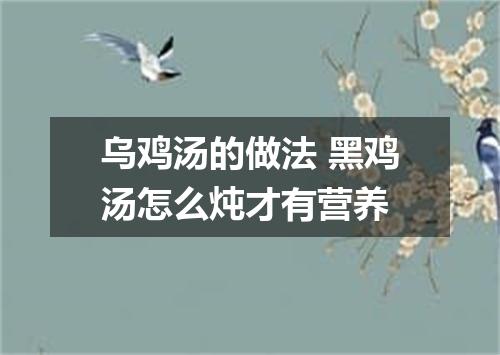 乌鸡汤的做法 黑鸡汤怎么炖才有营养