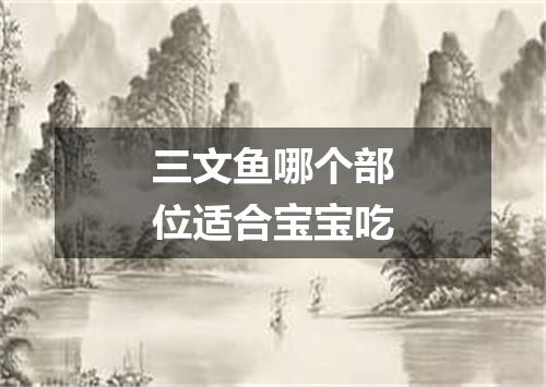 三文鱼哪个部位适合宝宝吃