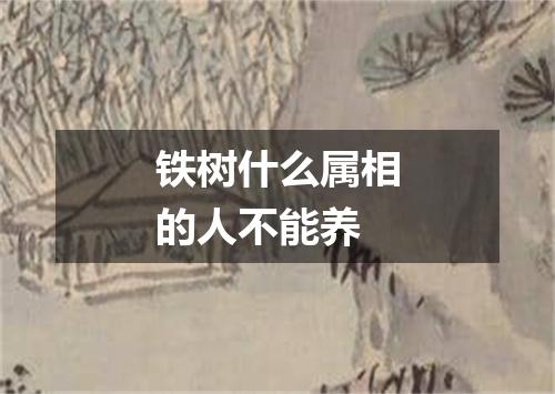 铁树什么属相的人不能养