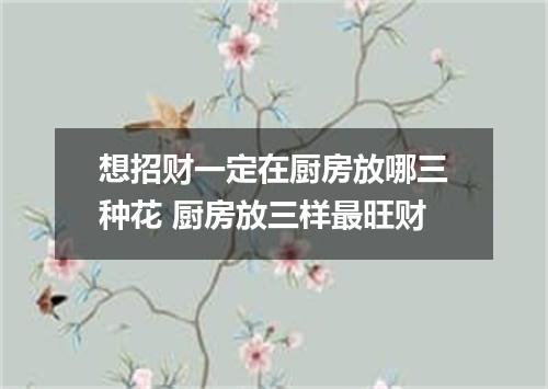 想招财一定在厨房放哪三种花 厨房放三样最旺财