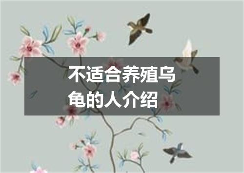 不适合养殖乌龟的人介绍