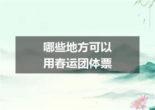 哪些地方可以用春运团体票