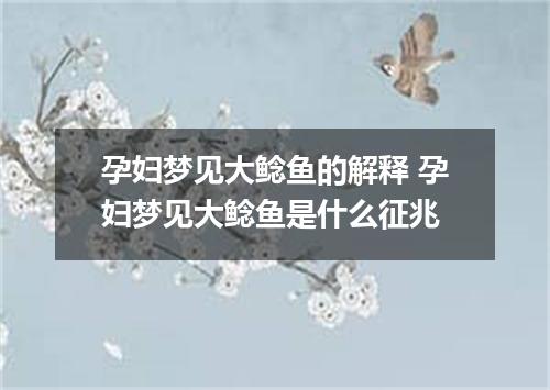 孕妇梦见大鲶鱼的解释 孕妇梦见大鲶鱼是什么征兆