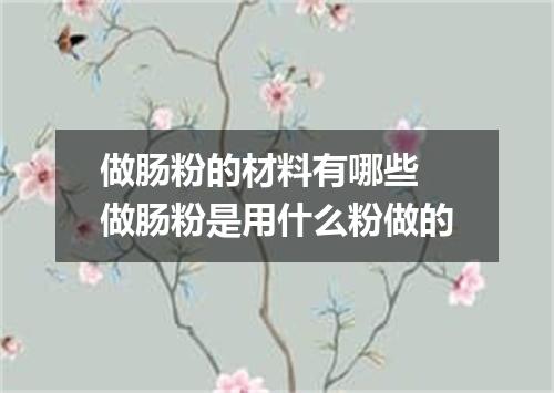 做肠粉的材料有哪些 做肠粉是用什么粉做的
