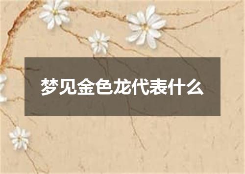 梦见金色龙代表什么