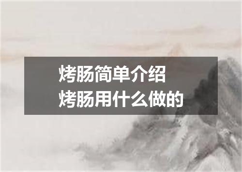烤肠简单介绍 烤肠用什么做的
