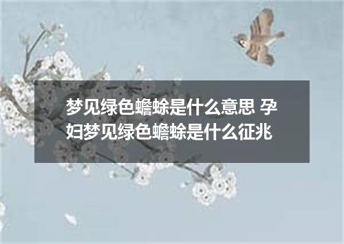 梦见绿色蟾蜍是什么意思 孕妇梦见绿色蟾蜍是什么征兆