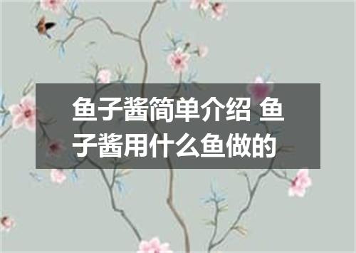 鱼子酱简单介绍 鱼子酱用什么鱼做的