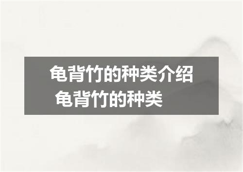 龟背竹的种类介绍 龟背竹的种类