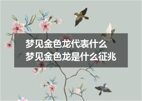 梦见金色龙代表什么 梦见金色龙是什么征兆