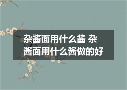 杂酱面用什么酱 杂酱面用什么酱做的好