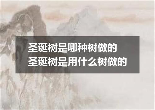 圣诞树是哪种树做的 圣诞树是用什么树做的