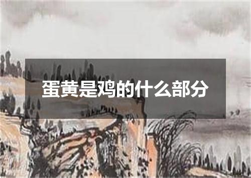 蛋黄是鸡的什么部分