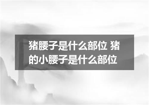 猪腰子是什么部位 猪的小腰子是什么部位