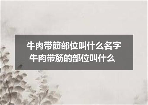 牛肉带筋部位叫什么名字 牛肉带筋的部位叫什么
