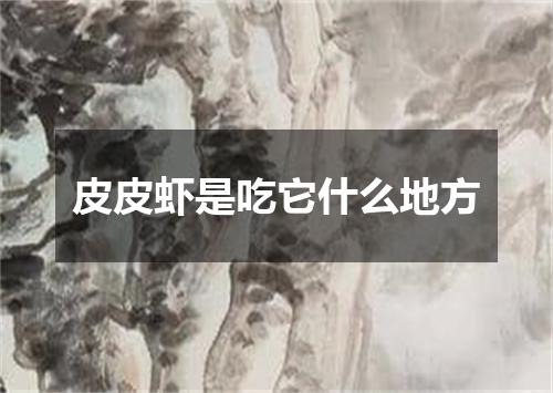 皮皮虾是吃它什么地方