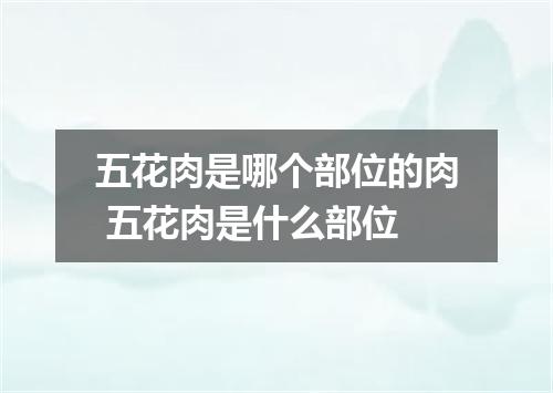 五花肉是哪个部位的肉 五花肉是什么部位