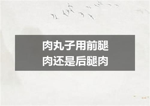 肉丸子用前腿肉还是后腿肉