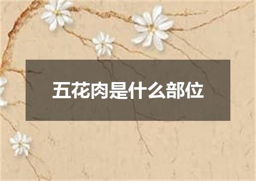 五花肉是什么部位