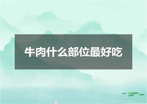 牛肉什么部位最好吃