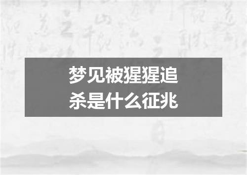 梦见被猩猩追杀是什么征兆