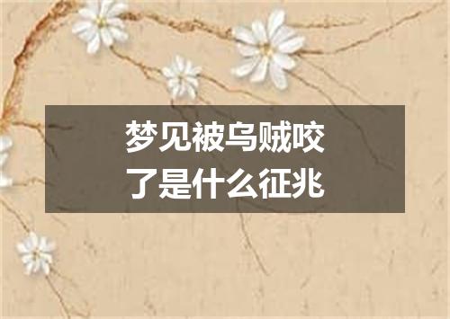 梦见被乌贼咬了是什么征兆