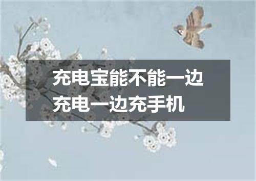 充电宝能不能一边充电一边充手机