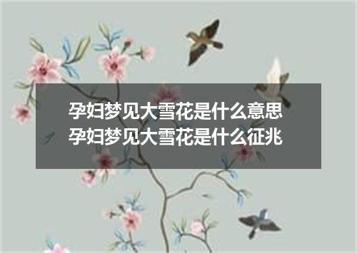 孕妇梦见大雪花是什么意思 孕妇梦见大雪花是什么征兆