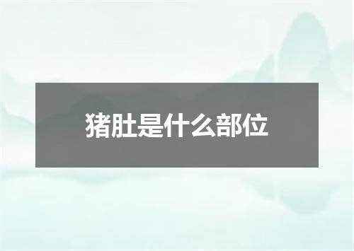 猪肚是什么部位