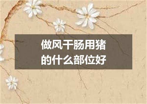 做风干肠用猪的什么部位好