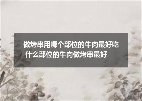 做烤串用哪个部位的牛肉最好吃 什么部位的牛肉做烤串最好