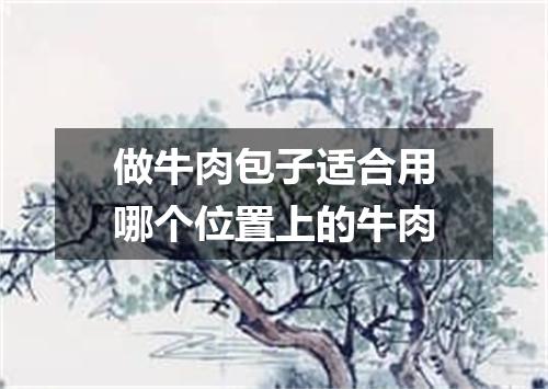 做牛肉包子适合用哪个位置上的牛肉