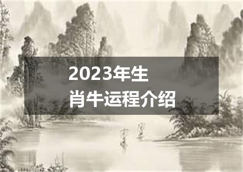 2023年生肖牛运程介绍