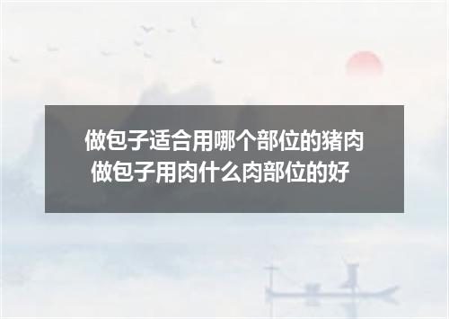 做包子适合用哪个部位的猪肉 做包子用肉什么肉部位的好