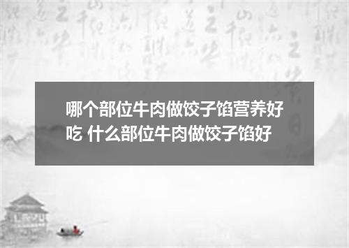 哪个部位牛肉做饺子馅营养好吃 什么部位牛肉做饺子馅好