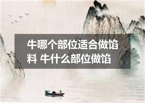 牛哪个部位适合做馅料 牛什么部位做馅