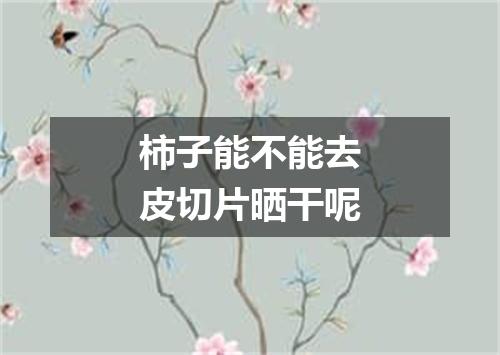 柿子能不能去皮切片晒干呢